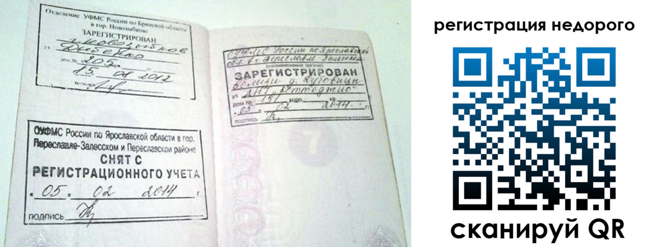 прописка поиск в Орехово-Зуево